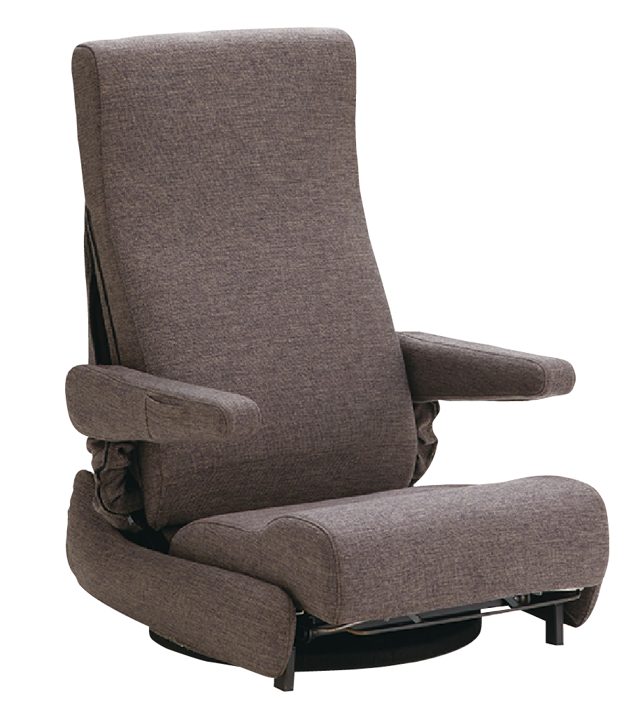 �ꥯ�饤�˥�1100N