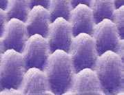 ��������3