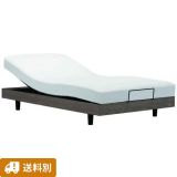 ڥ󥿥ѡۥإåɥܡɤʤưꥯ饤˥󥰥٥å(ޥåȥ쥹դ)FAD-FF LG-RXߥ֥륵β