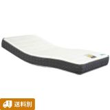 ڥ󥿥ѡۥꥯ饤˥ѥץ󥰥ޥåȥ쥹(RX-STD-EX)ߥ֥륵β